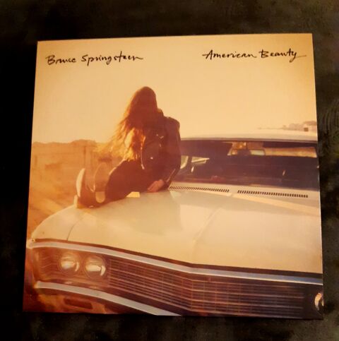 American Beauty de Bruce Springsteen  60 Pau (64)