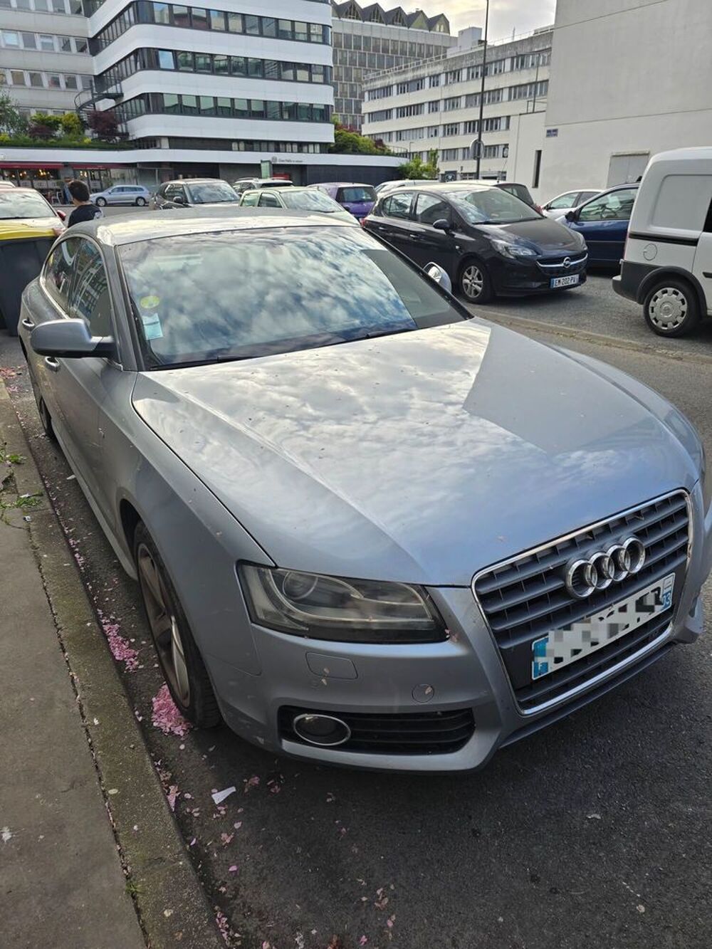 A5 Sportback 2.0 TDI 170 DPF Ambiente 2011 occasion 37340 Cl&eacute;r&eacute;-les-Pins