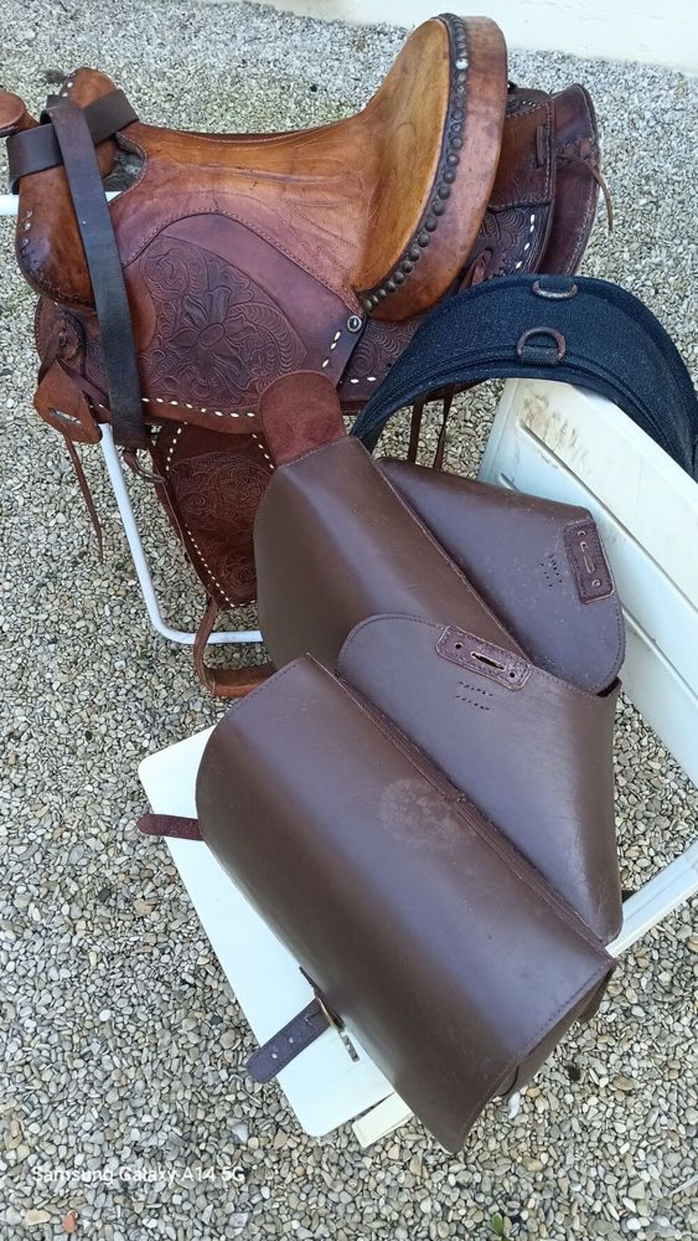 &eacute;quitation Sports
