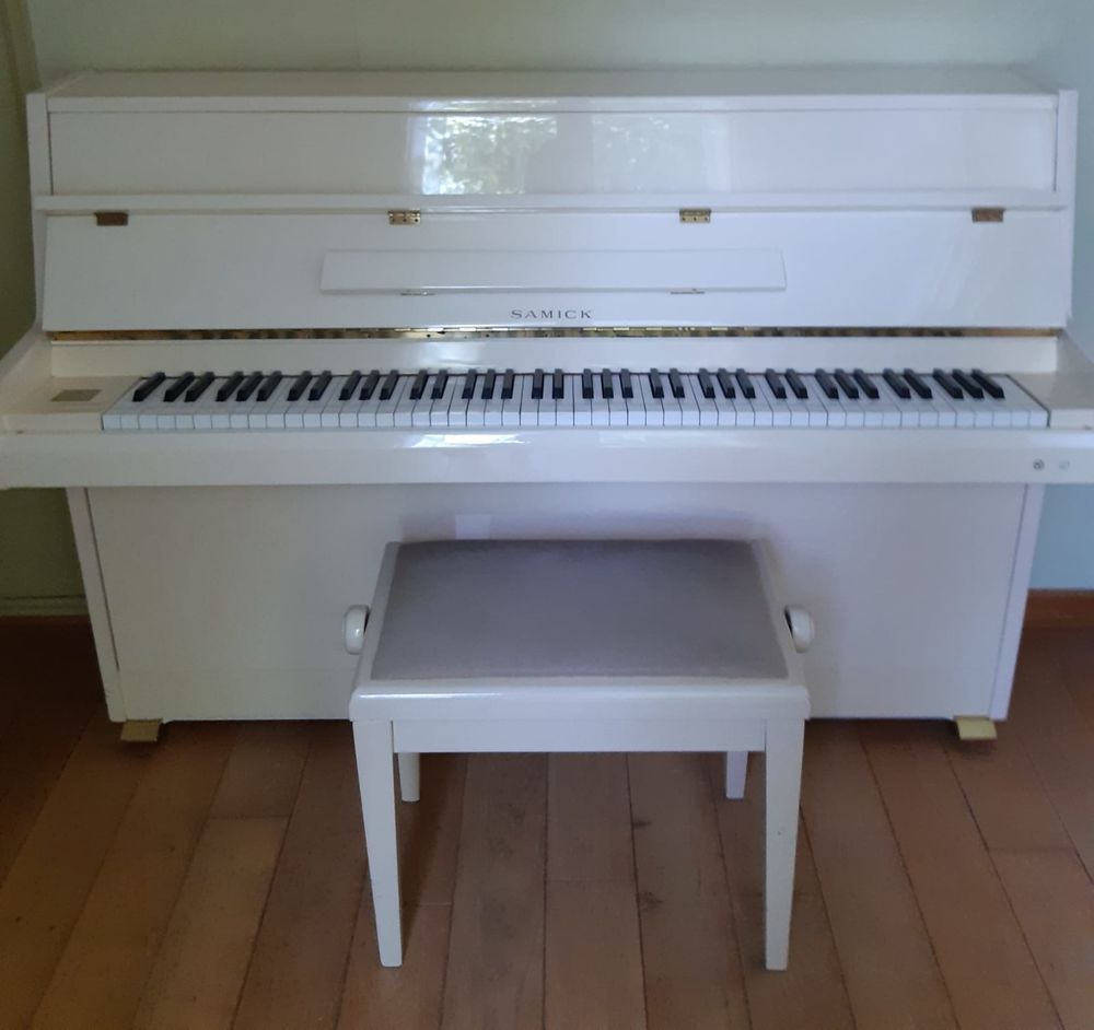 Piano d'apprentissage SAMICK Instruments de musique