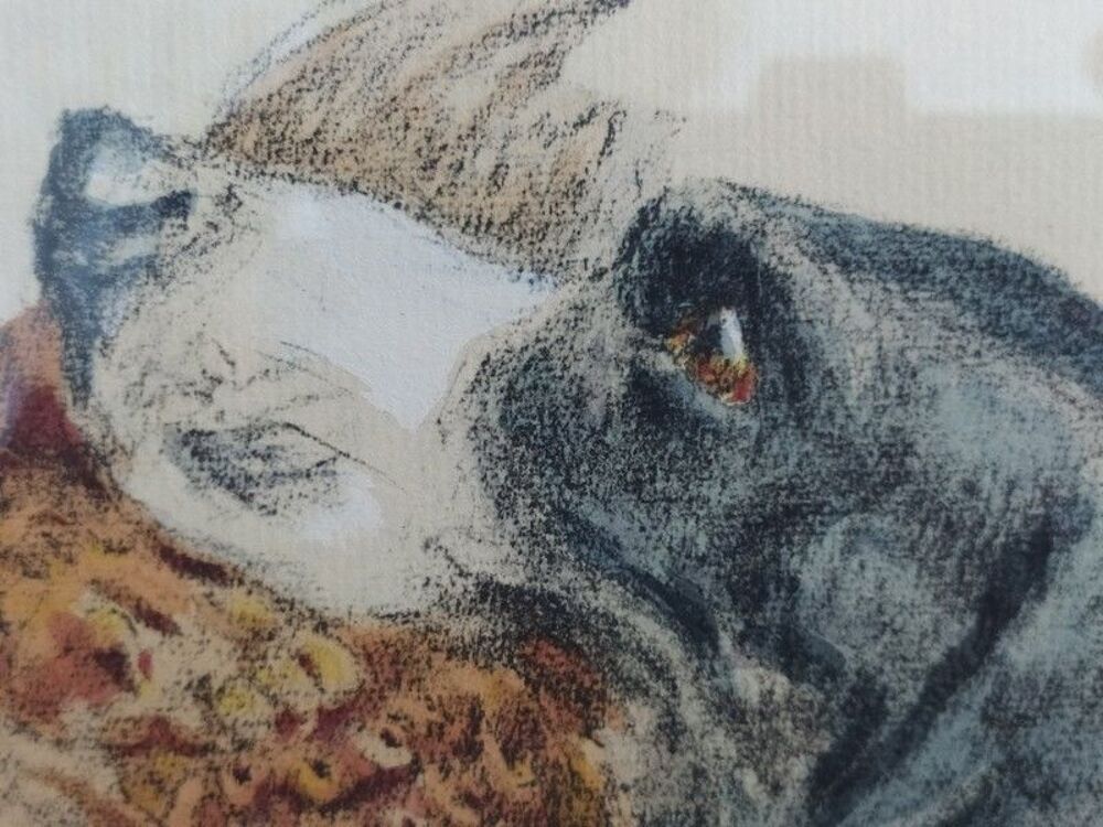 Tableau Lithographie Vincent-Anglade Chien &Eacute;pagneul Setter 