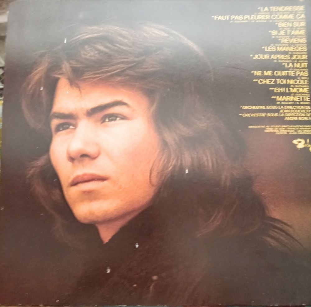 DANIEL GUICHARD / 2 X DISQUES VYNIL 33 TOURS CD et vinyles