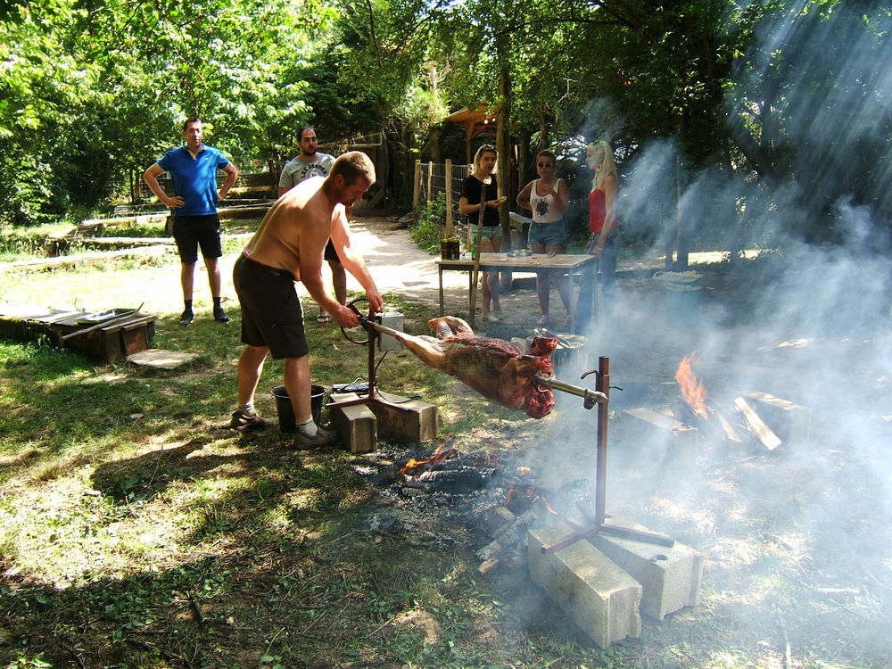 Action de chasse dans le 77 Sports
