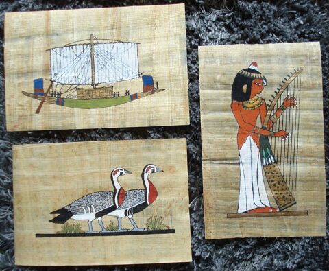 Beaux Papyrus d'origine Egypte 8 Monnetier-Mornex (74)