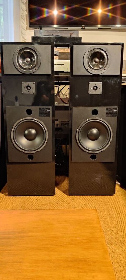 Enceintes/Baffles PHONOPHONE G1 (rares) Vintage. 250 Auriac-sur-Vendinelle (31)