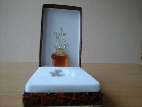 MINIATURE PARFUM 15 Trouy (18)