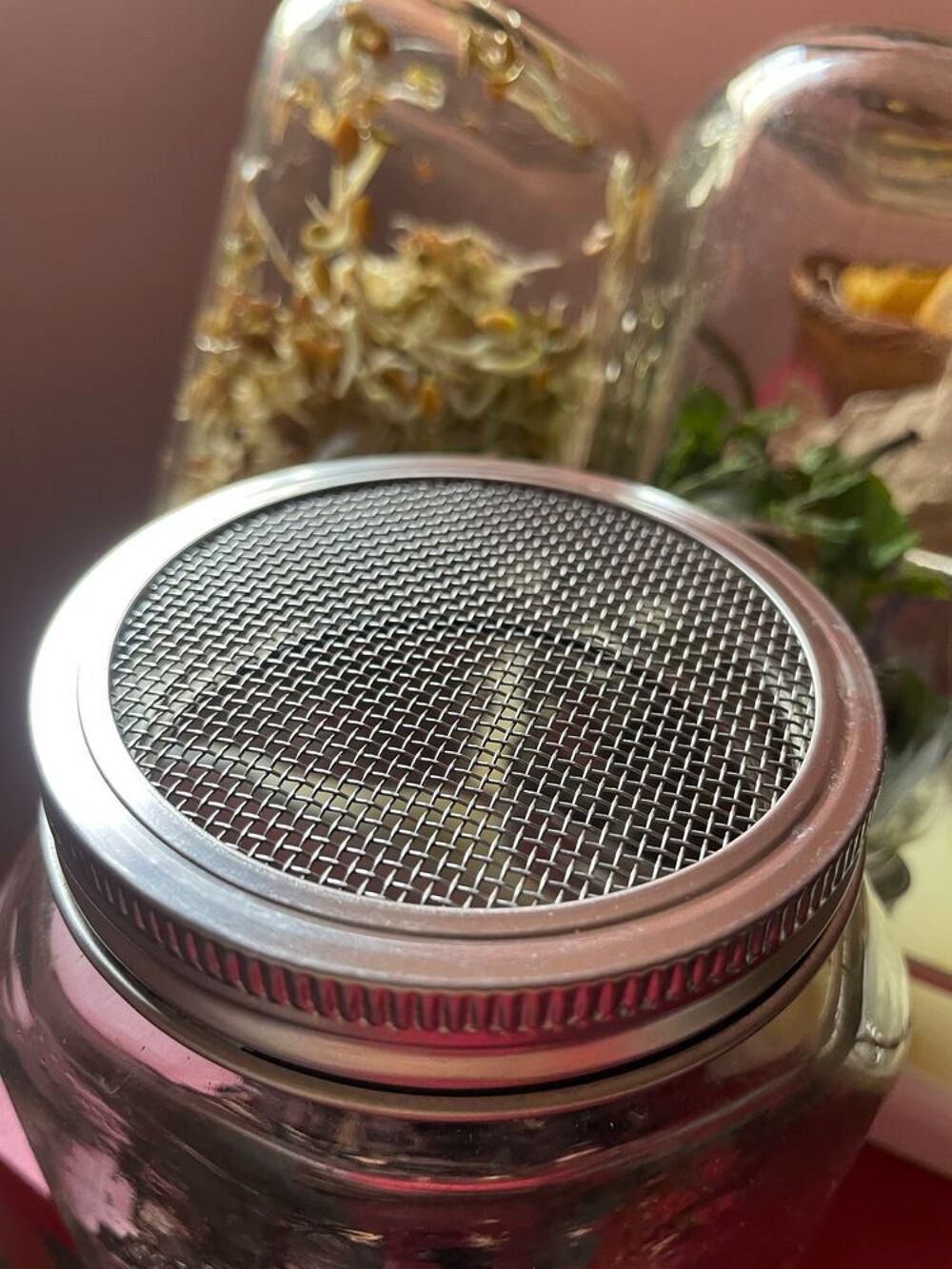 [x] Kit 3 Germoirs Eschenfelder €" Verre &amp; Inox €" Qualit&eacute; Allemande Pro €" Bon Electroménager
