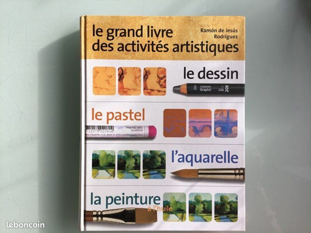 Le grand livre des activit&eacute;s artistiques Ramon de Jesus Rodr Livres et BD