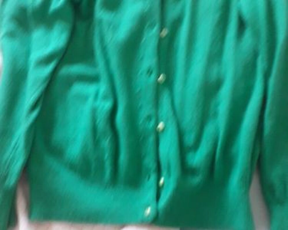 gilet vert Vtements