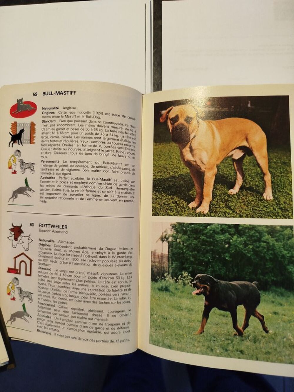 LES CHIENS Livres et BD