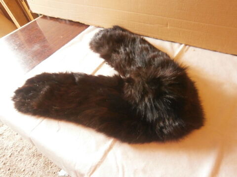 Tour de cou vintage r�tro 55 Wolxheim (67)