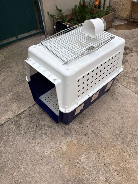 D'UNE CAGE DE TRANSPORT IATA POUR CHIEN, 50 34400 Lunel-viel