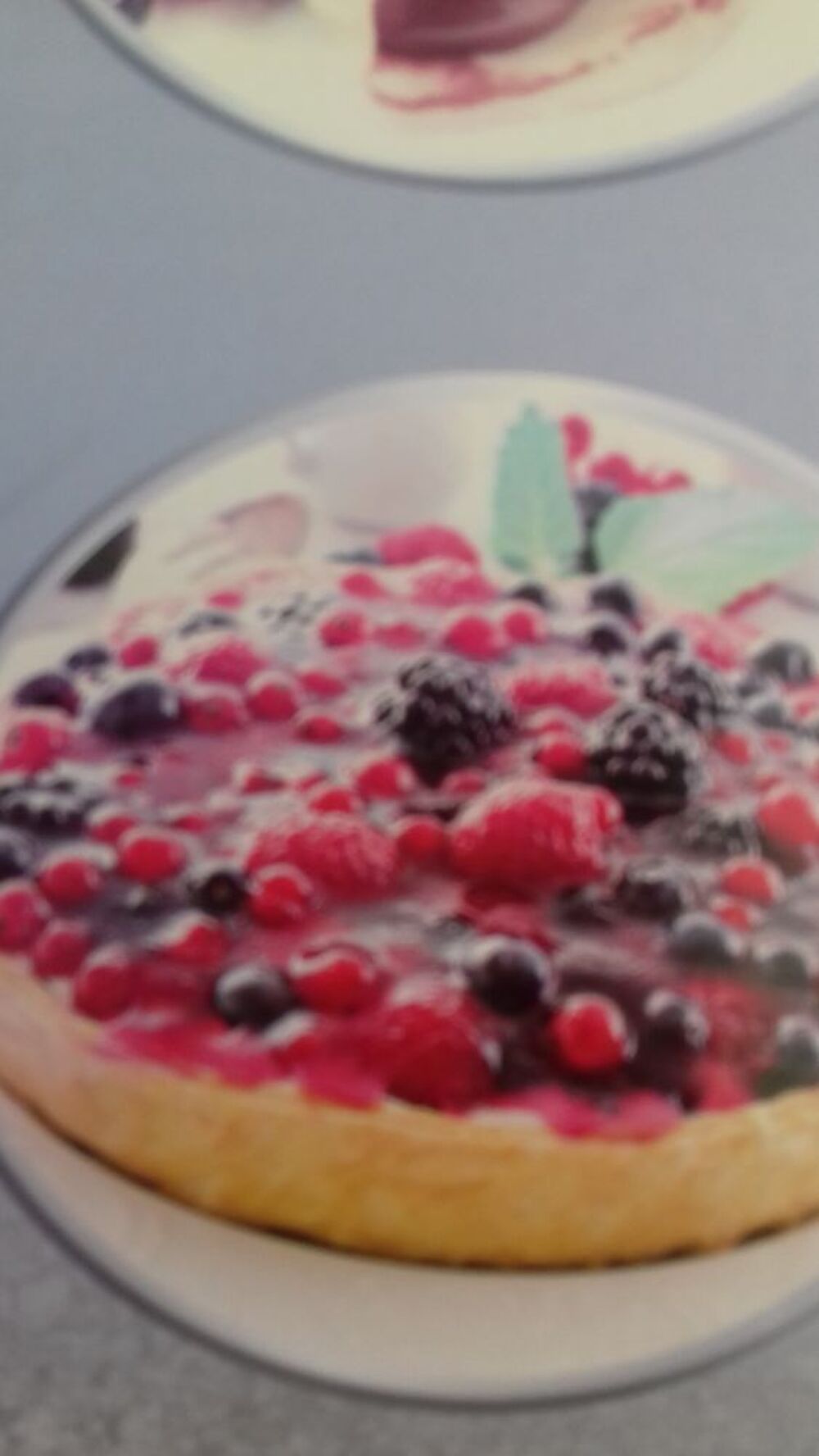 Appareil multi-cuiseur neuf Electrom�nager