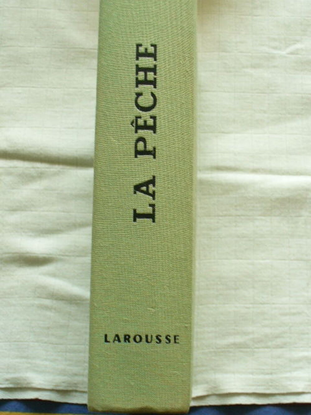 Livre "Toutes p&ecirc;ches" avec illustrations Livres et BD