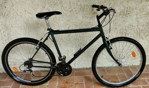 VTT Homme 80 Allan (26)