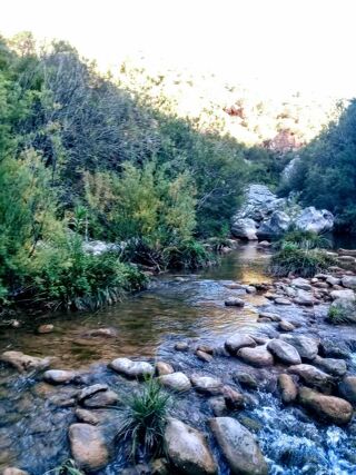  Terrain  vendre 2001 m Chefchaouen
