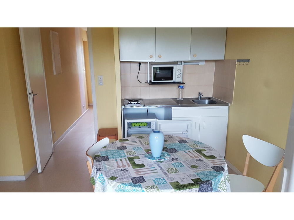Vente Appartement Appartement F2 La roche-posay