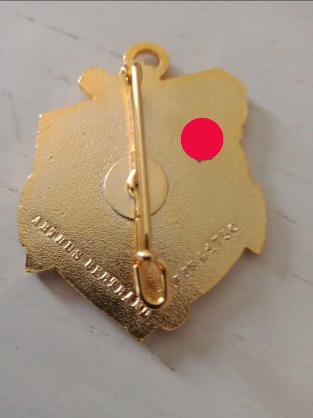 insigne militaire matricul&eacute; 