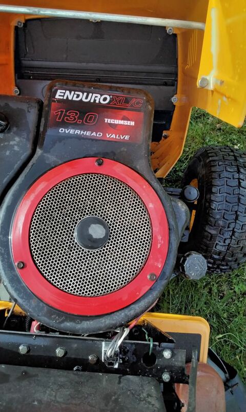 Tondeuse  autoport�e 360 Aunay-sous-Cr�cy (28)