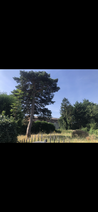  Terrain � vendre 558 m�