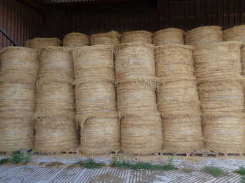 foin 28 Roville-aux-Ch�nes (88)