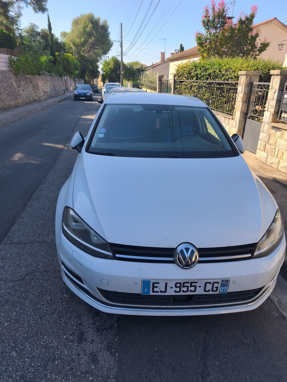Golf 1.2 TSI 110 BlueMotion Technology Trendline Business 2017 occasion 30900 Nimes