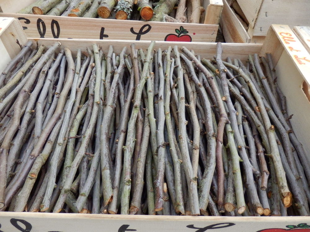 Bois pour allumer la chemin&eacute;e ou le BBQ (poirier, prunier) - Jardin