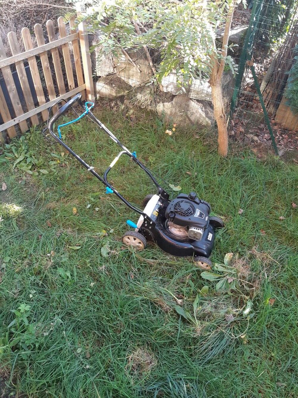 TONDEUSE Jardin