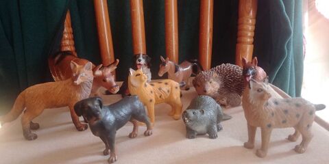 Jouet Enfants diffrentes figurines avec petits sac  dos 350. Trs bon tat. A venir chercher sur place, j'accepte que du liquide. 350 Saint-Mdard-en-Jalles (33)