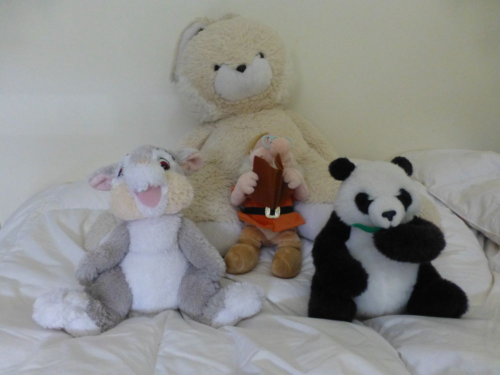 Pecluche LAPIN Jeux / jouets