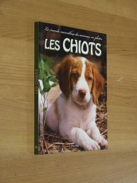 Livre, Les chiots, De Brandi Valenza, NEUF 4 Bagnolet (93)