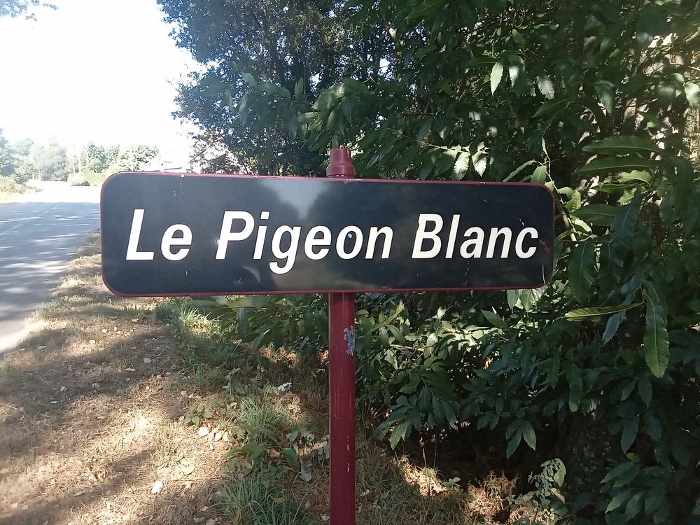 Vente Terrain BOIS Gu�gon