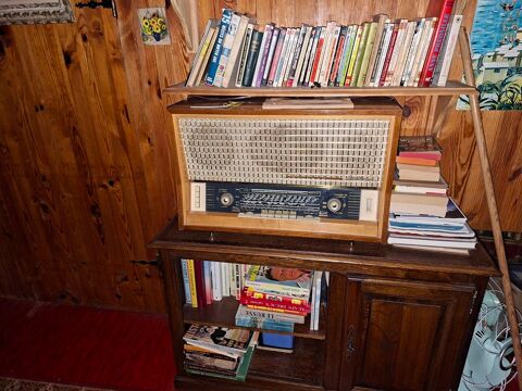 RADIO SCHNEIDER BEETHOVEN 1958 MARCHE BIEN BONNE SONORITE 60 Saint-Cl�ment-sur-Valsonne (69)