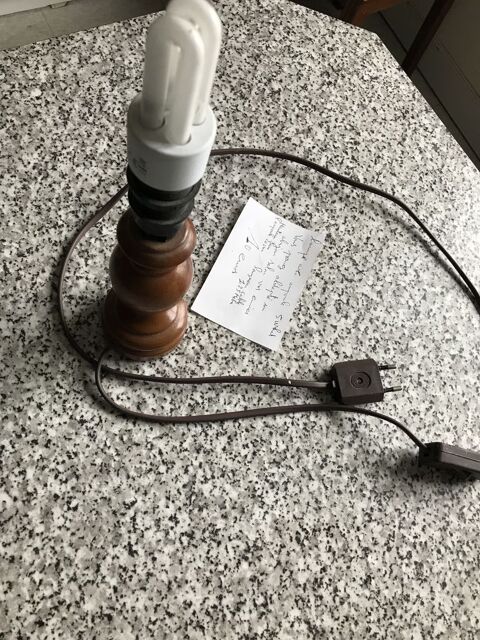 Lampe avec ampoule 5 what 10 Romorantin-Lanthenay (41)