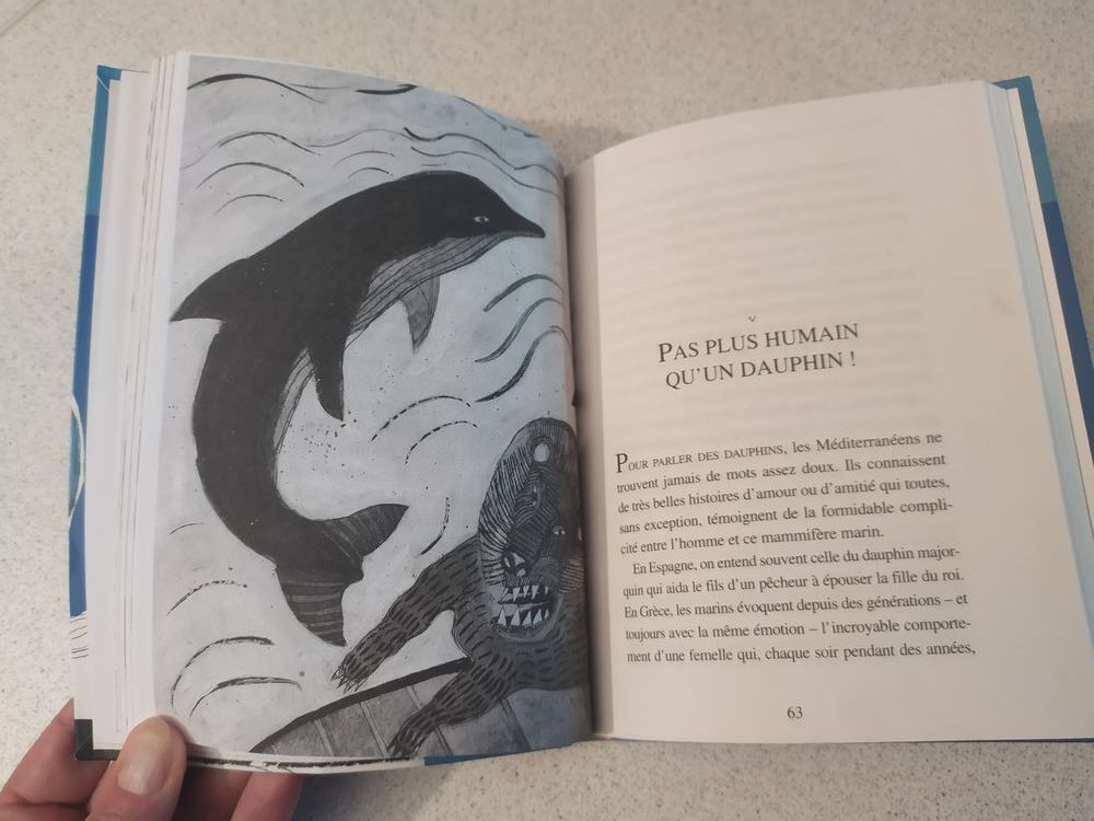 Livre "Barberousse et les conqu&eacute;rants de la m&eacute;diterran&eacute;e" Livres et BD