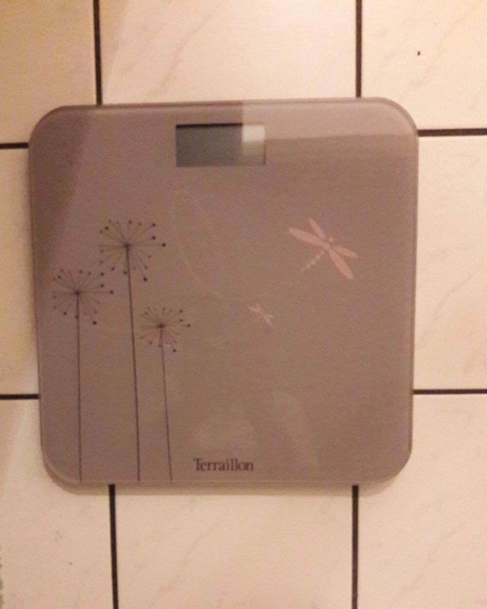 P&egrave;se personne &eacute;lectronique Terraillon Electroménager