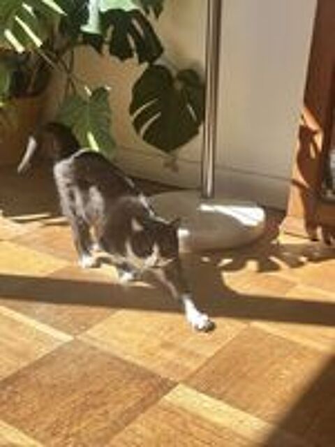   Dita 