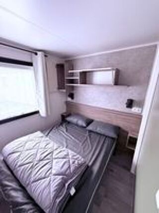  2024 occasion 66440 Torreilles