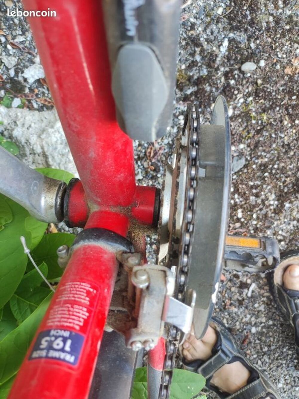 VTT - Giant avec Phare rechargeable Vélos