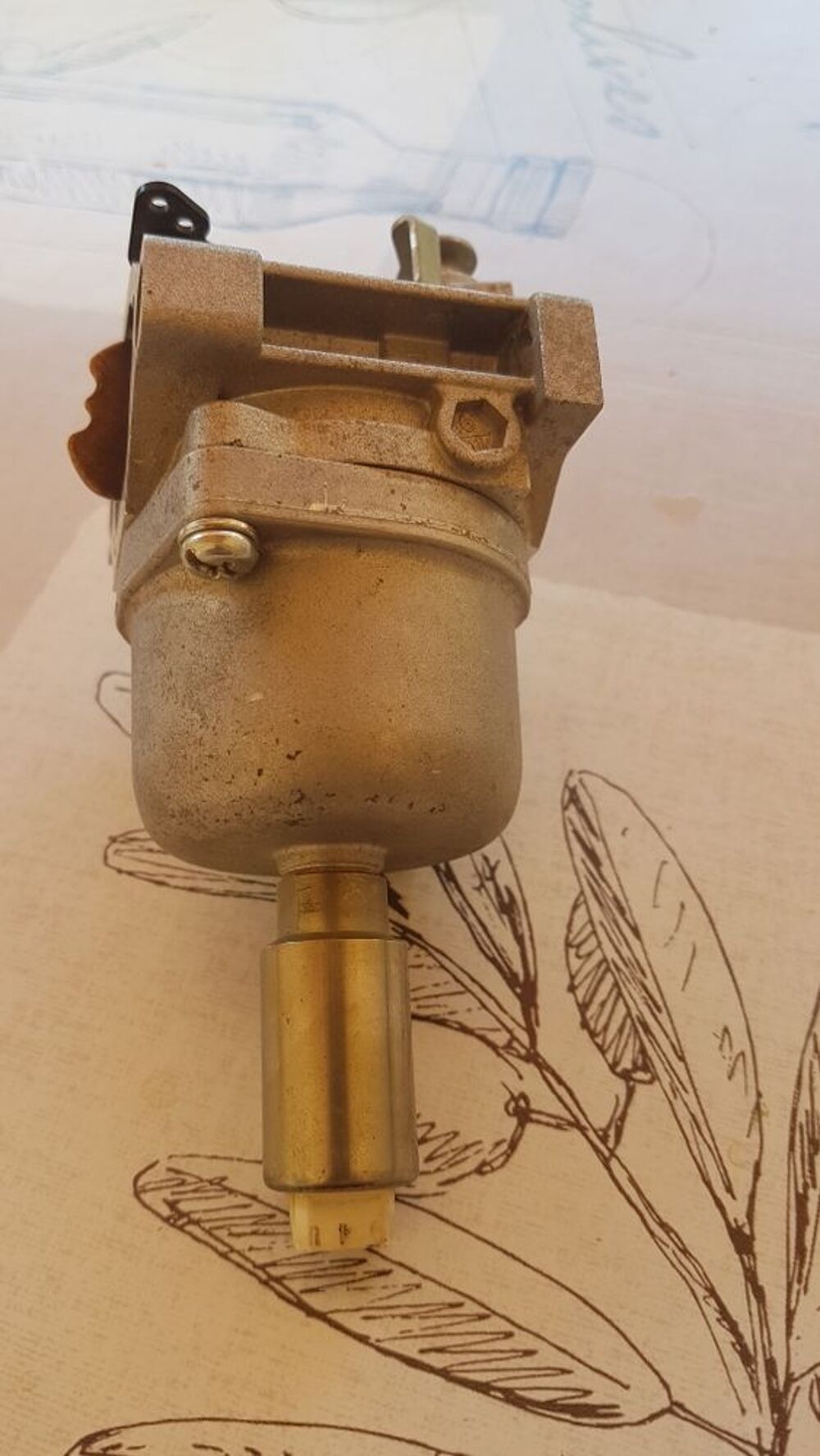 carburateur brigg Jardin