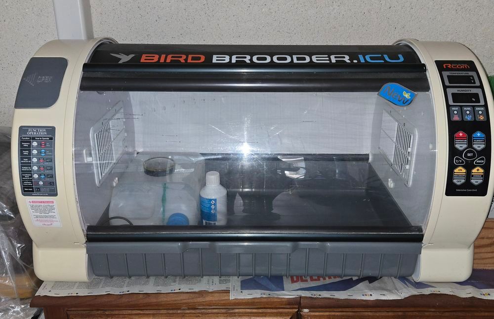 grande &eacute;leveuse Bricolage