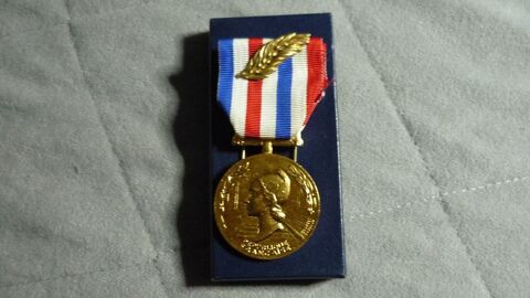 Médaille d'honneur 58 Brem-sur-Mer (85)