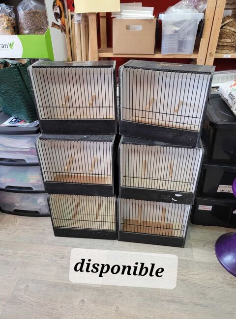 cage dexpo 6 Vierzon (18)