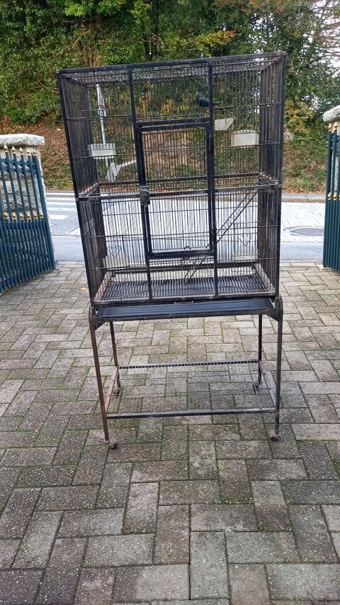 Cage oiseaux 50 56850 Caudan