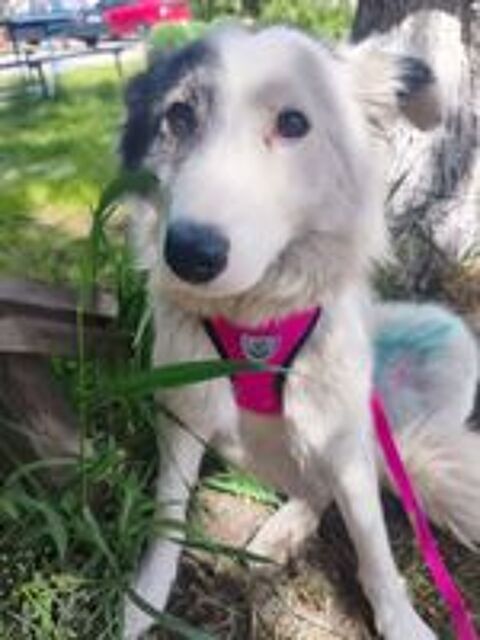   MARY SE TROUVE DANS UN REFUGE EN UKRAINE (RESERVEE) 