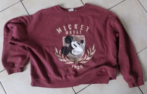 Pull Mickey 2 La Motte-d'Aveillans (38)
