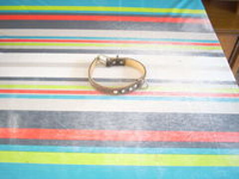   coller cuir clouts pour chiot  ou petit chien 