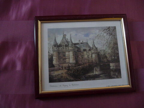 Tableau représentant le Château d'Azay le Rideau 6 Saint-Fons (69)