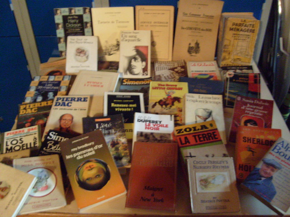 Lot de livres ancien Livres et BD