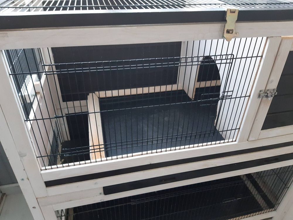   cage a furet ou rongeurs 